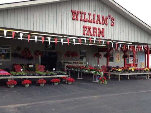 Jobs in Williams Farm Stand - reviews